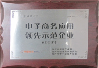 電子商務(wù)領(lǐng)先示范企業(yè)
